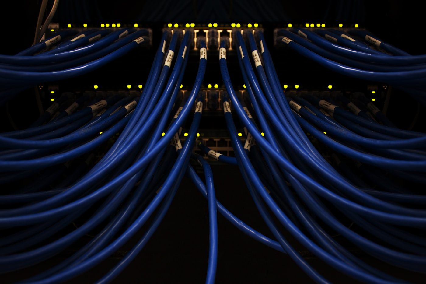 Latiguillos de cobre conectados a un panel de red con LEDs de estado encendidos
